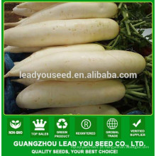 Produtor de guangzhou de sementes de rabanete híbrido NR131 Caitu
